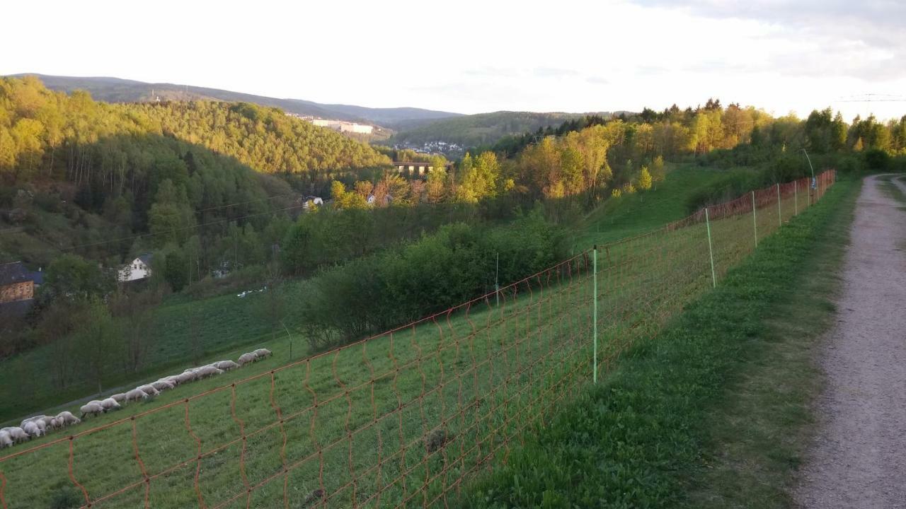 Ferienwohnung Weiss Ауэ Экстерьер фото